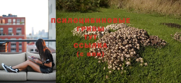 2c-b Лагань
