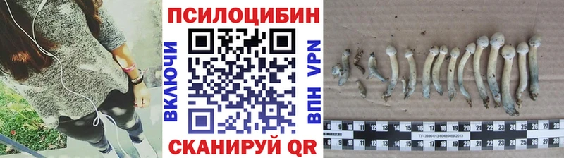 Купить где  Лагань  Псилоцибиновые грибы мицелий 